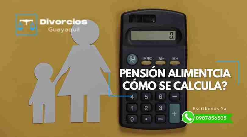 Pensión alimenticia - Cómo se calcula