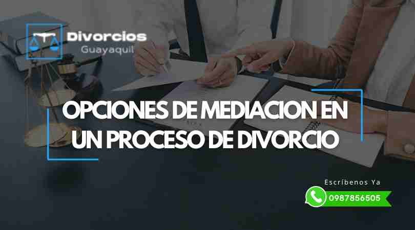 Opciones de Mediación en un Proceso de Divorcio